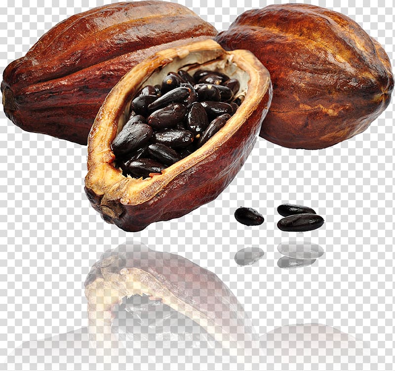 three cocoa's, Cacao tree Cocoa bean Raw chocolate Cocoa solids, chocolate transparent background PNG clipart