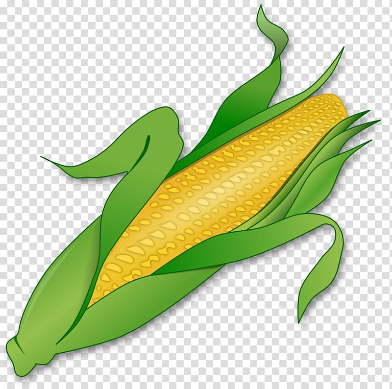 Corn on the cob Maize Sweet corn , corn transparent background PNG clipart