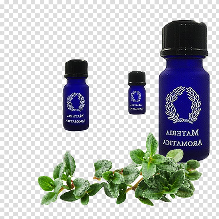 Thyme Herb Oregano Essential oil Tea, essential oil recipes transparent background PNG clipart