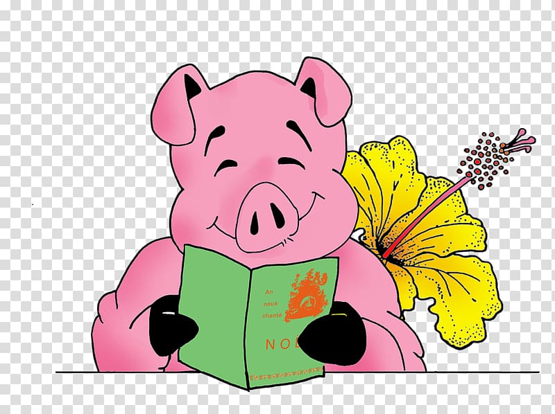 Domestic pig Christmas Illustration, Pink boar excitedly reading transparent background PNG clipart