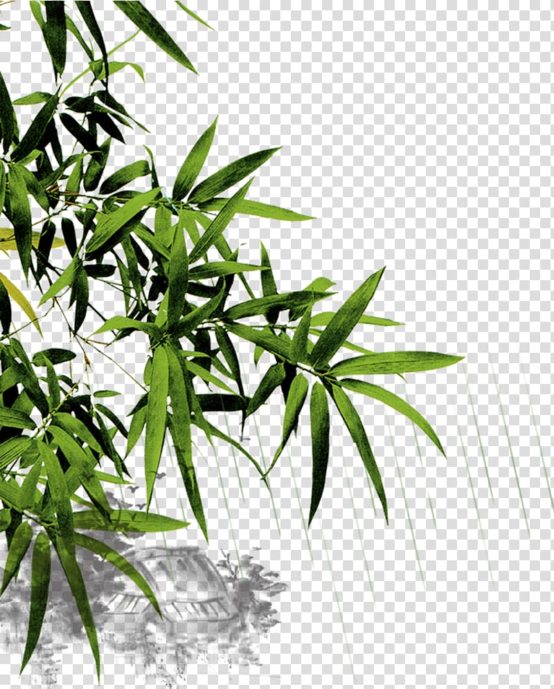 green bamboo leaves illustration, China Bamboo Mid-Autumn Festival Qingming Festival, bamboo transparent background PNG clipart