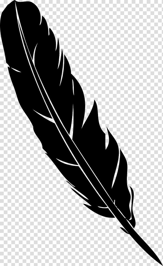black and gray feather illustration, Feather Pen Quill Euclidean , Black feather quill pen transparent background PNG clipart