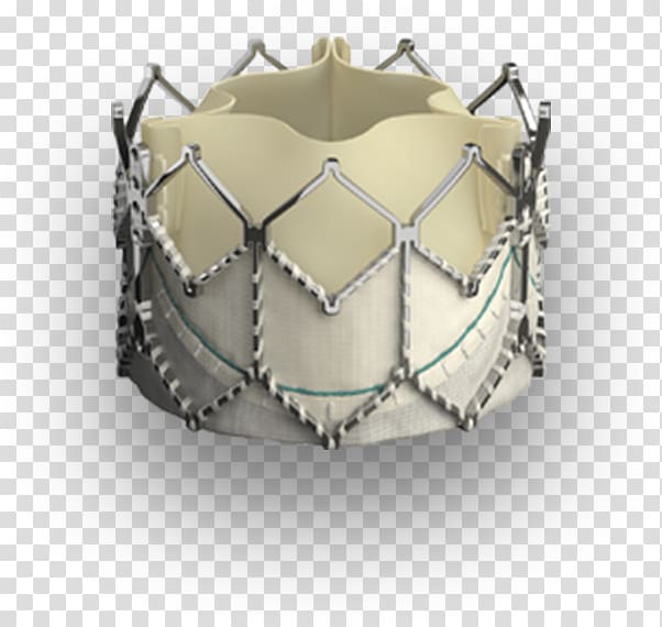 Percutaneous aortic valve replacement Artificial heart valve, heart transparent background PNG clipart