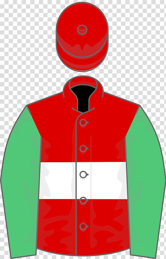 National Hunt racing Eider Chase Paddy Power Gold Cup Sleeve Betfair Chase, others transparent background PNG clipart