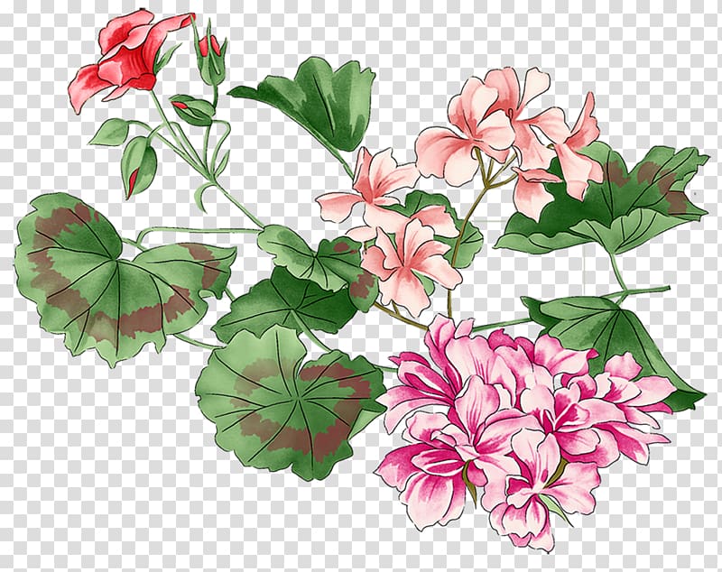 Flower Plant, handpainted flowers transparent background PNG clipart