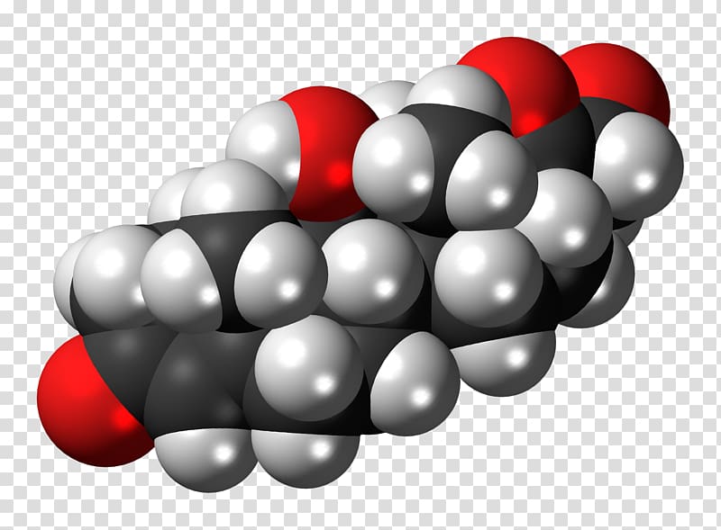 Cortisol Hormone Space-filling model Stress Progesterone, others transparent background PNG clipart
