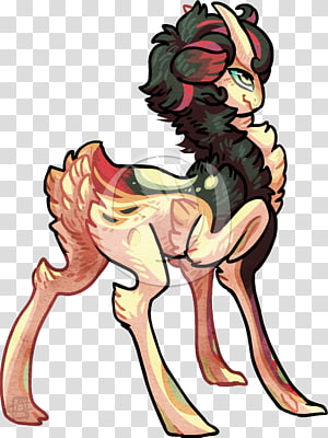 Homo sapiens Horse Carnivora , horse transparent background PNG clipart thumbnail