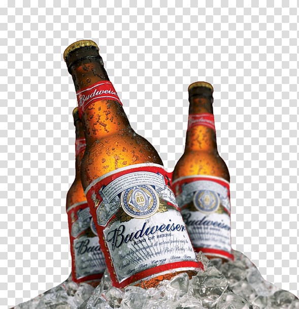Budweiser Beer Anheuser-Busch InBev Distilled beverage, beer transparent background PNG clipart