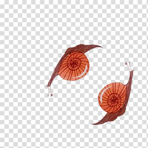 Orthogastropoda, Fresh and simple hand-drawn cute snail transparent background PNG clipart