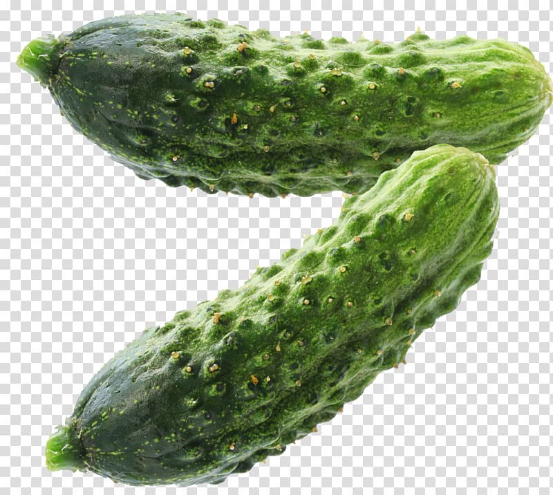 Pickled cucumber Spreewald gherkins Pickling Maroon cucumber, cucumber transparent background PNG clipart