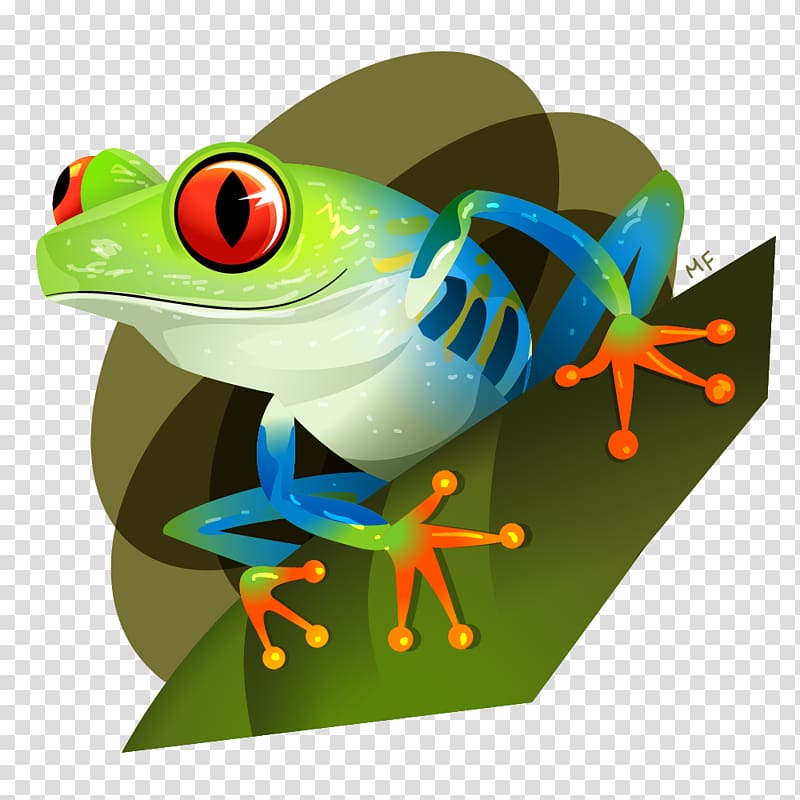 Red-eyed tree frog True frog Red eye, frog transparent background PNG clipart