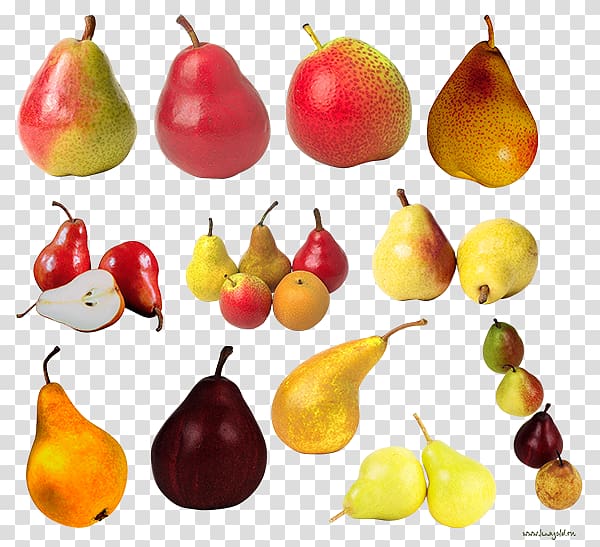 European pear Fruit Food Amygdaloideae, others transparent background PNG clipart