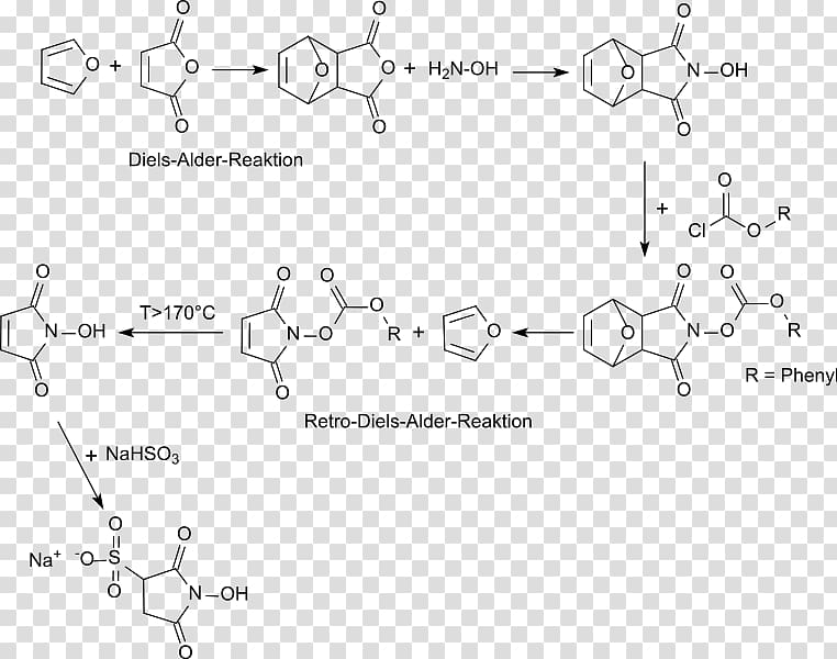 N-Hydroxysulfosuccinimide sodium salt N-Hydroxysuccinimide N-Hydroxymaleinimid Sodium metabisulfite Sodium bisulfite, nhs transparent background PNG clipart