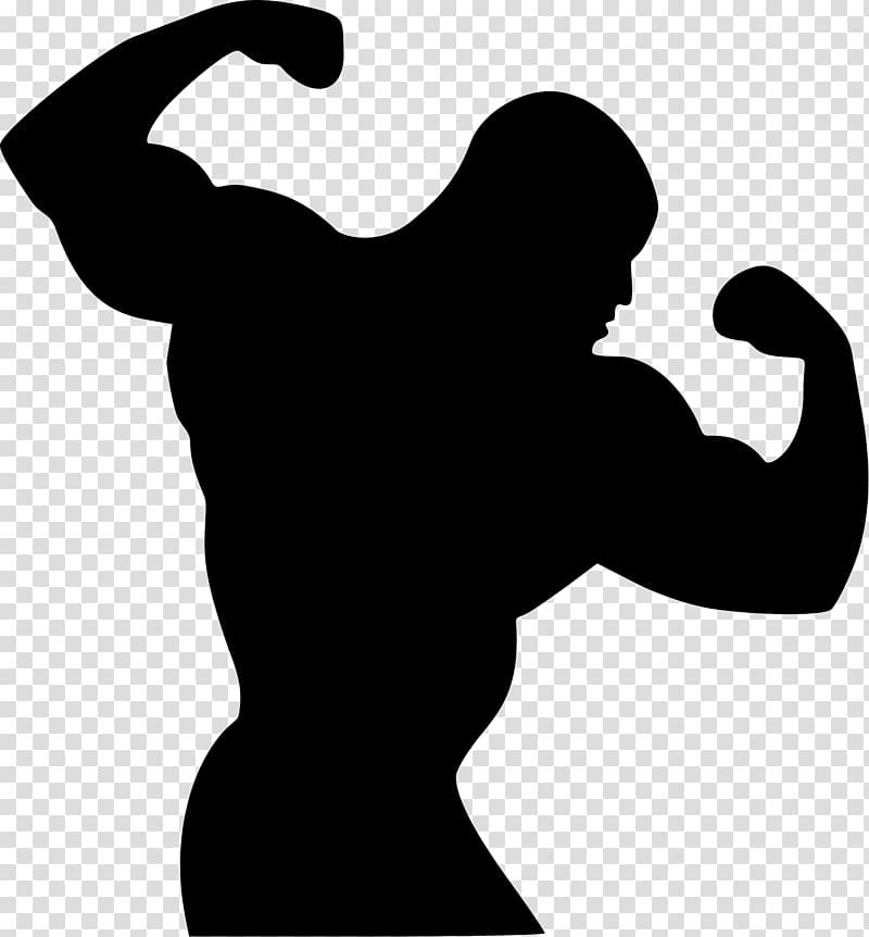 silhouette of body builder illustration, Bodybuilding Silhouette , bodybuilding transparent background PNG clipart