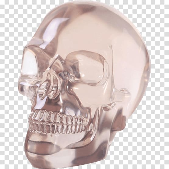 Crystal skull Calavera Human skull symbolism Head, skull transparent background PNG clipart