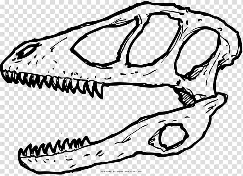 Tyrannosaurus Deinonychus Dinosaur Skull Edmontosaurus, dinosaur transparent background PNG clipart
