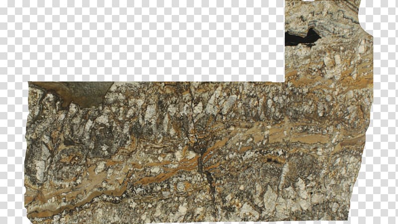 Stone wall Wood /m/083vt, wood transparent background PNG clipart