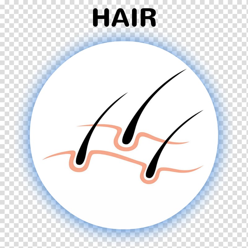 Logo Brand Line Font, laser hair removal transparent background PNG clipart