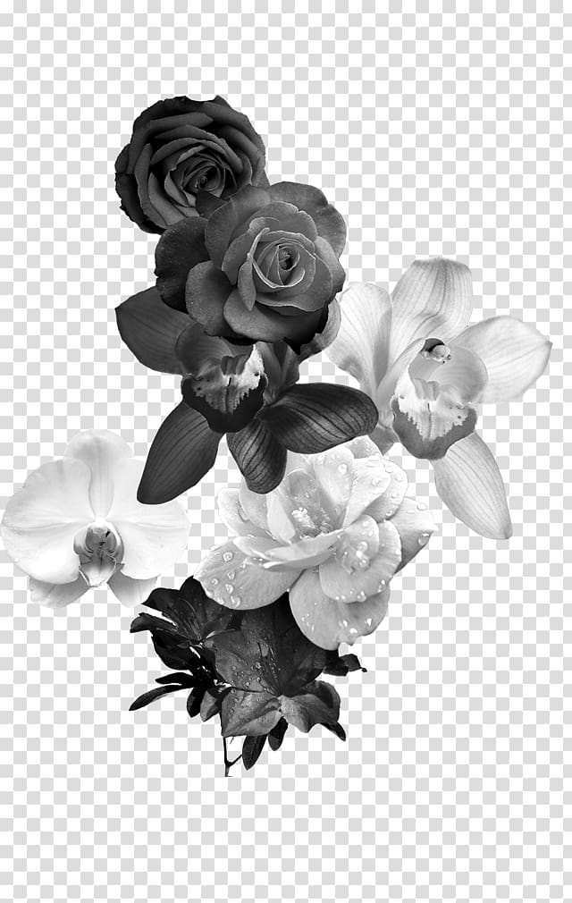 Black and white Flower Monochrome , Black and white roses transparent background PNG clipart