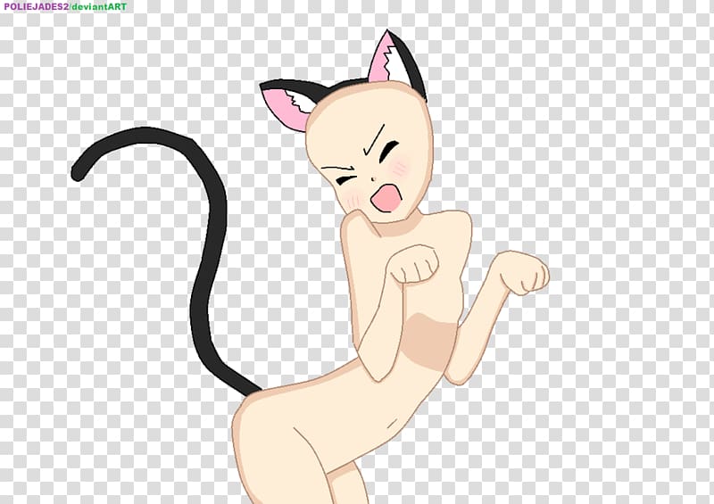 Whiskers Kitten Cat Drawing Meow, kitten transparent background PNG clipart