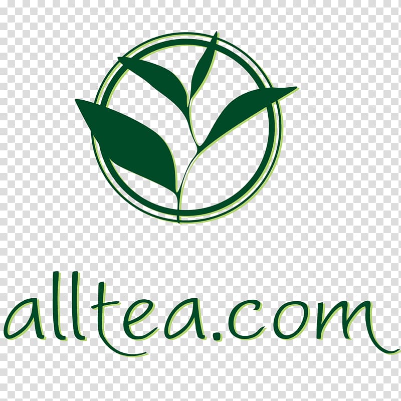 Green tea Seminyak Oolong Cafe, chinese tea transparent background PNG clipart