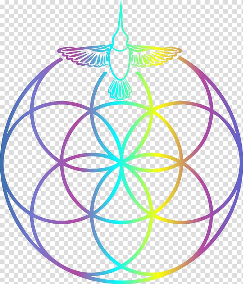 Sacred geometry Symbol Circle, flower circle transparent background PNG clipart