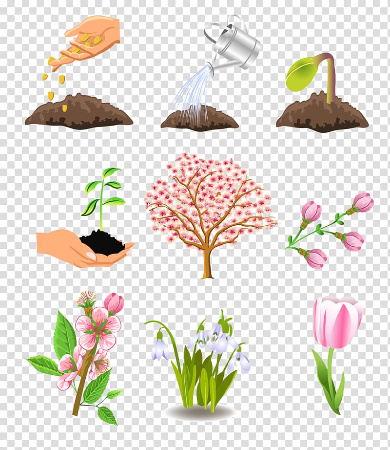 Plant Tree Season Autumn, watering watering Growth transparent background PNG clipart