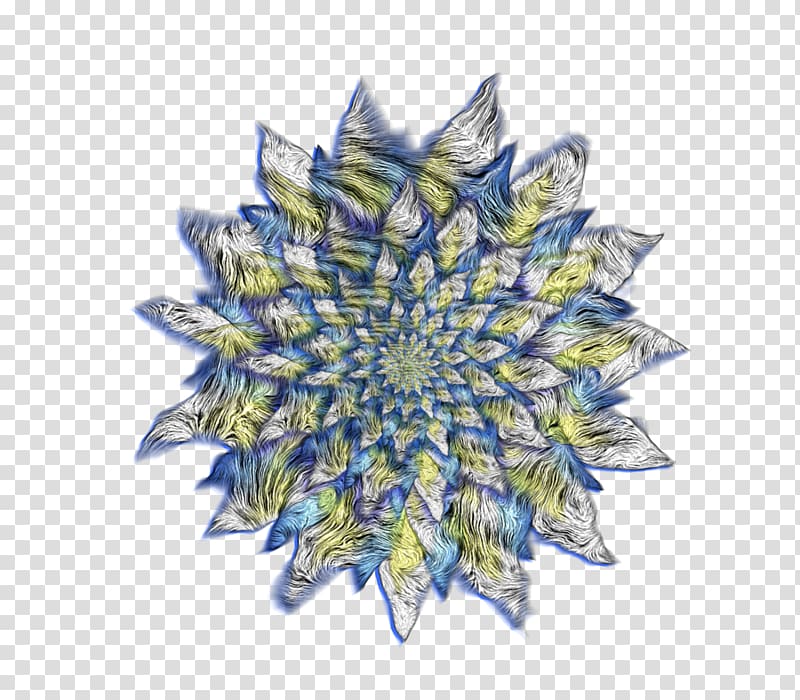 Cobalt blue Symmetry, Me Too Flower transparent background PNG clipart