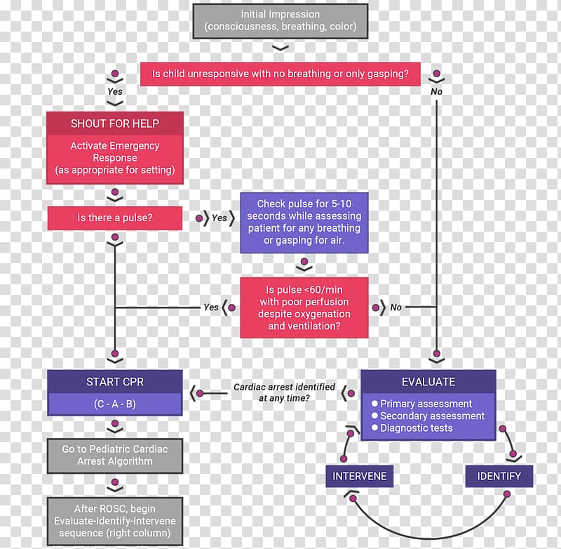 Advanced cardiac life support Pediatric advanced life support Cardiac arrest Defibrillation Basic life support, Algorithm transparent background PNG clipart