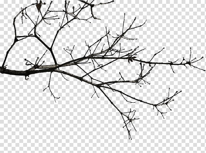Twig Icon, Yeah tree in winter transparent background PNG clipart
