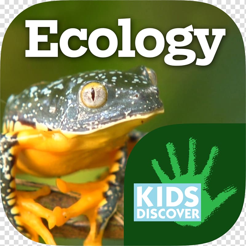 Kids Discover Amazing Adaptations Tree frog Natural environment Ecology, ecology infographic transparent background PNG clipart
