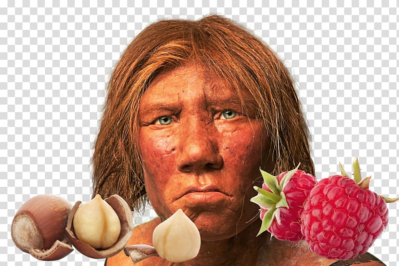 Neandertal Homo sapiens Science Illustrated Karijoki, science transparent background PNG clipart