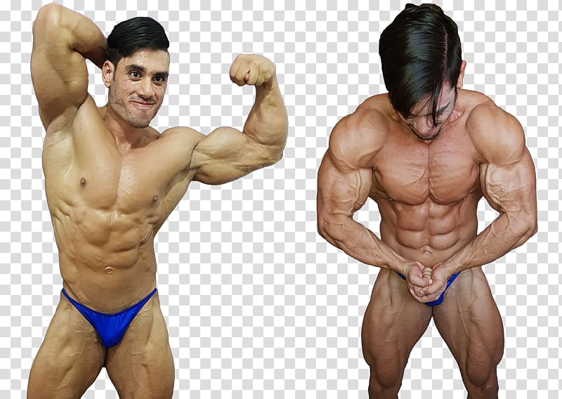 Muscle tissue Bodybuilding Human body Nutrient, bodybuilding transparent background PNG clipart