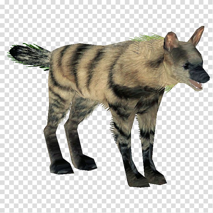 Hyena Aardwolf Mammal Carnivora, hyena transparent background PNG clipart