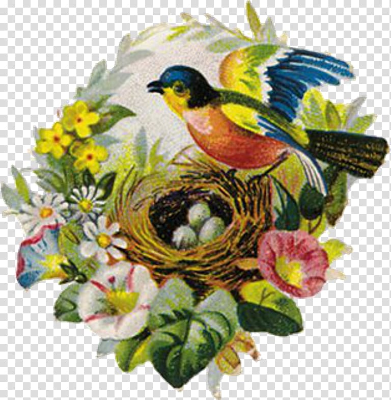 Bird nest Bokmärke Beak, Bird transparent background PNG clipart