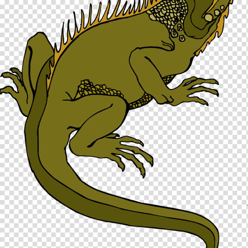 Reptile Lizard Green iguana Open, lizard transparent background PNG clipart