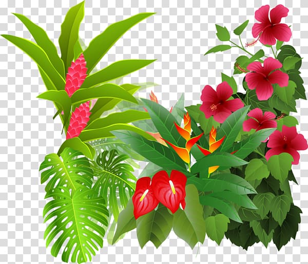 Flower Tropical rainforest Drawing , flower transparent background PNG clipart