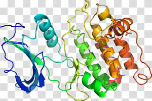 Line Point Organism , line transparent background PNG clipart thumbnail