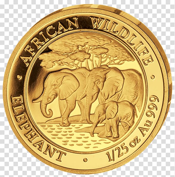 Somalia Bullion coin Gold Silver coin African elephant, gold transparent background PNG clipart