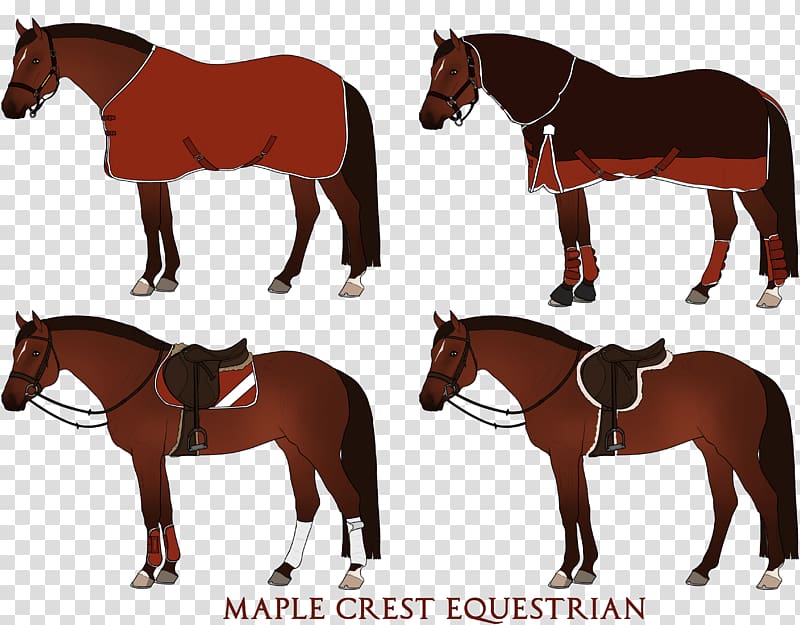 Mustang Stallion Foal English riding Bridle, mustang transparent background PNG clipart