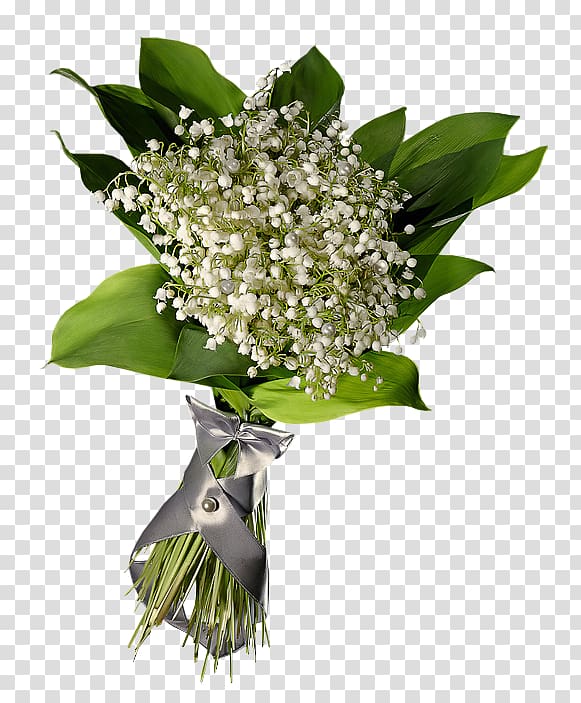 Lily of the valley Filtre , lily of the valley transparent background PNG clipart