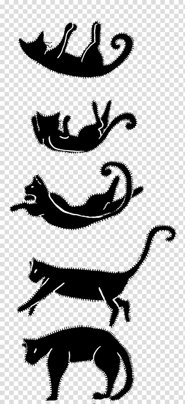 Cat Antigone Drawing , Cat transparent background PNG clipart
