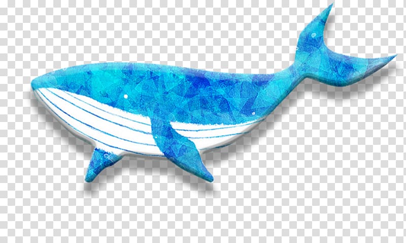 Dolphin Whale, dolphin transparent background PNG clipart