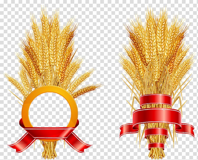 Common wheat Logo Ear, Rice transparent background PNG clipart