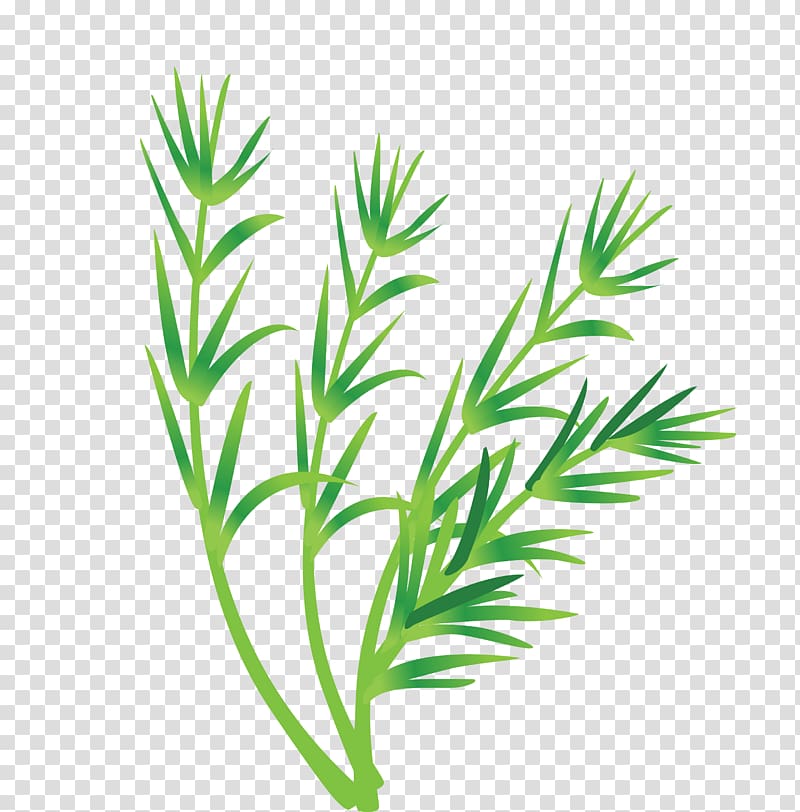 Leaf vegetable Leaf vegetable, Vegetable Leaves transparent background PNG clipart