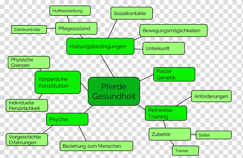 Horse trainer Mind map Organization Diagram, mental map transparent background PNG clipart