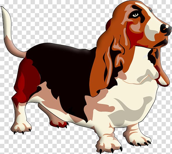 Basset Hound , puppy transparent background PNG clipart