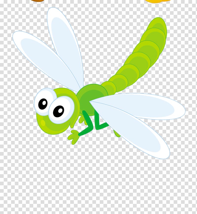 Dragonfly Insect , dragonfly transparent background PNG clipart