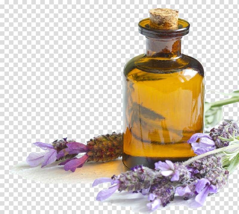 clear glass bottle with cork illustration, English lavender Lavender oil Essential oil Skin, oil transparent background PNG clipart