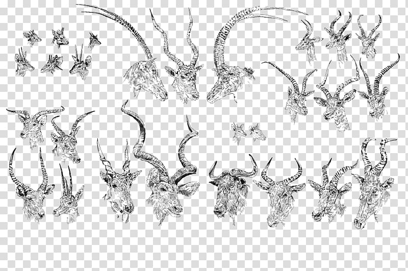 Line art Mammal Cartoon Sketch, horny transparent background PNG clipart